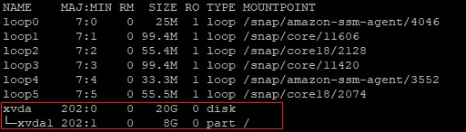 expandir_espacion_aws_ec2_aws_lsblk_before_update